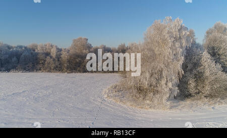 Luftbild Winter Landschaft Bäume mit Schnee im Land abgedeckt. Feld und Bäume im Winter Stockfoto