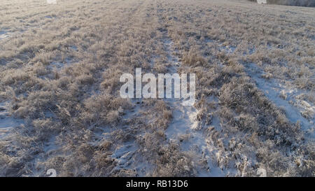 Luftaufnahme Winterlandschaft Flug über die verschneite Feld im Winter. Schnee bedeckt Ackerland im Winter Stockfoto