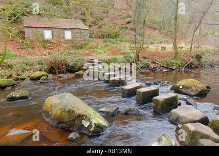 Trittsteine über die hebden Beck durch Hardcastle Crags in Halifax, West Yorkshire Stockfoto