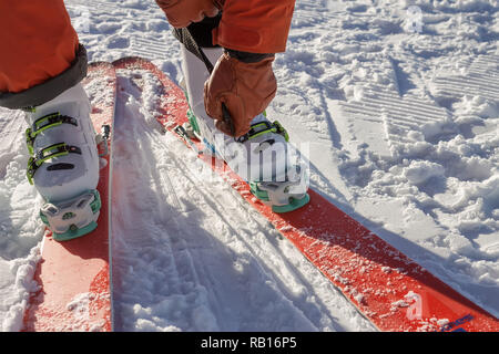 Beine eines Skifahrers freerider Close up stand auf einem velvete Titel getting ready für Skifahren - Befestigung der Stiefel. Stockfoto