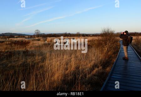 Mann stand auf der Promenade durch ein Fernglas Cors Caron National Nature Reserve Tregaron Ceredigion Wales Cymru Großbritannien suchen Stockfoto