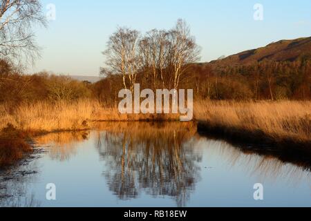 Cors Caron National Nature Reserve ausgedehnten Feuchtgebieten am späten Abend lite Sonnenuntergang Tregaron Ceredigion Wales Cymru GROSSBRITANNIEN Stockfoto