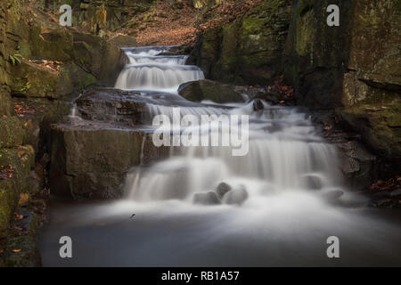 Die Lumsdale fällt in Matlock, Derbyshire. Die Fälle sitzt neben den Ruinen der historischen Mühle Malen in den frühen 1600er Jahren gebaut. Stockfoto