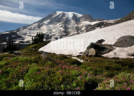 WA 15673-00 ... WASHINGTON - ein Heidekraut bewachsene Wiese entlang der Skyline Trail in der Nähe von Panorama Point im Mount Rainier National Park. Stockfoto