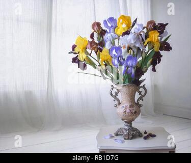 Stillleben mit Blumenstrauß von Iris Blumen Stockfoto