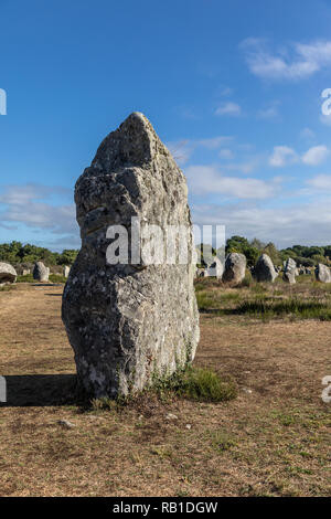 Megalithen von Carnac (Morbihan, Frankreich) Stockfoto