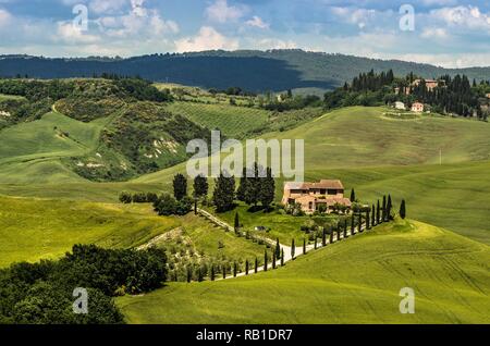 Schöne Panorama der Crete Senesi in der Toskana, Italien Stockfoto