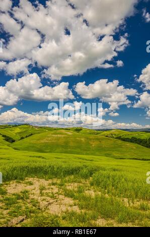 Wunderschöne Aussicht auf die Landschaft der Crete Senesi in der Toskana, Italien Stockfoto