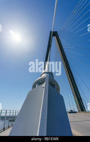 Low Angle View von Kabeln auf der Ravenel Hängebrücke in Charleston, South Carolina, USA Stockfoto