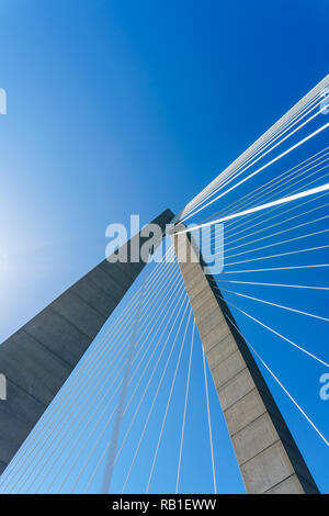 Low Angle View von Kabeln auf der Ravenel Hängebrücke in Charleston, South Carolina, USA Stockfoto