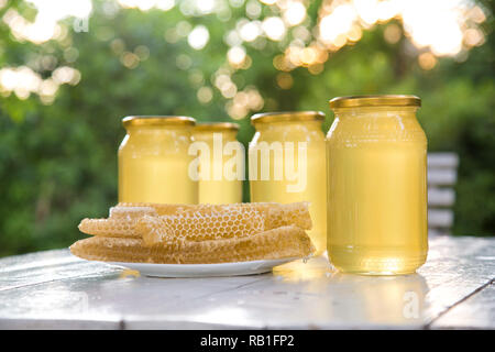 Frisches licht Biene Honig in Stücken von Waben auf einem weißen Holzmöbeln rustikal Tisch mit unscharfen Hintergrund. Stockfoto