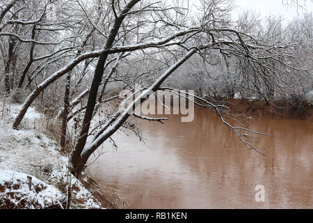 Bäume Schnee und Eis an den Ufern des Roten Flusses Stockfoto