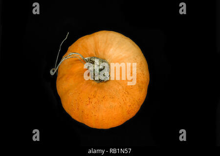 Blick von oben auf die orange Kürbis auf schwarzem Hintergrund Stockfoto