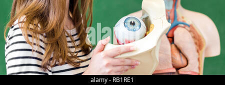 Junge weibliche High School student Holding menschliche Auge Modell. Student die Prüfung Biologie Unterricht Aids. Stockfoto