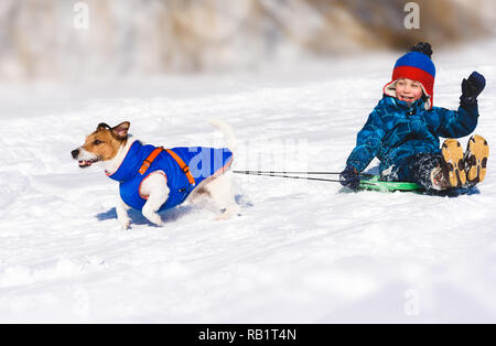 Hund rodeln Happy Boy auf schlüpfrigen Abhängen rutschen Stockfoto