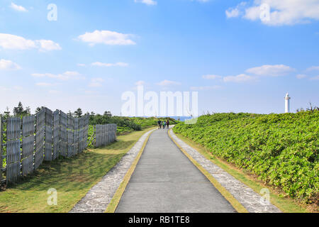 Kleine Weg im Park am Kap Zanpa in Okinawa, Japan Stockfoto