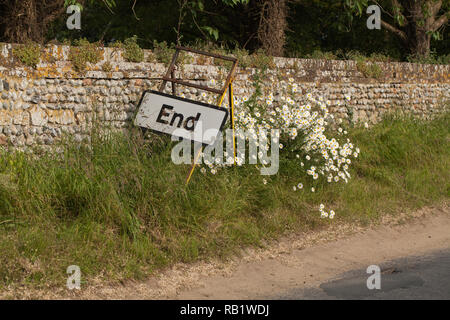 'Ende', Verkehrszeichen, unter einer ländlichen Straße Bank von Ox-eye Margeriten (Leucanthemum vulgare), mit einem Feuerstein Steinmauer Hintergrund. Ingham, Norfolk. East Anglia. England. Großbritannien. ​ Stockfoto