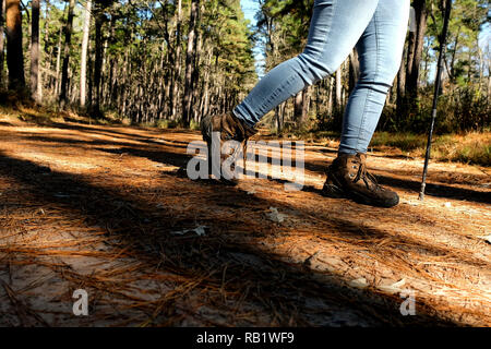 In der Nähe der Beine, eine weibliche Wanderer, als sie einen Schritt auf einem Waldweg an der Sam Houston National Forest in Texas. Stockfoto