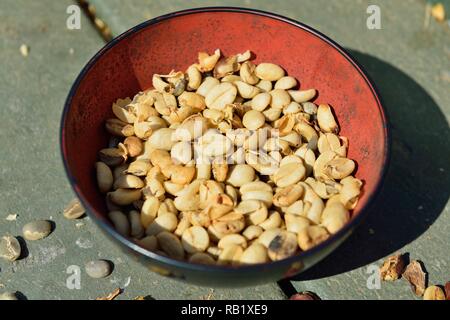 Nahaufnahme von einer Schüssel mit trockenen ungerösteten Kaffeebohnen in Hawaii Big Island Stockfoto