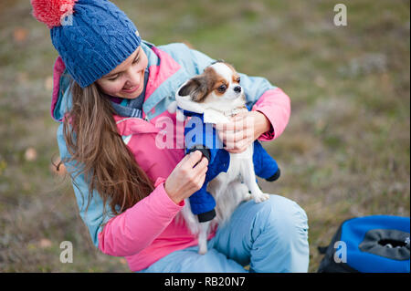 Gerne schöne junge Frau Dressing Ihrer kleinen Chihuahua Hund Tier Kleidung Stockfoto