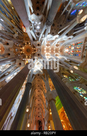 Innenansicht, Deckengewölbe Sagrada Familia, Barcelona, Spanien Stockfoto