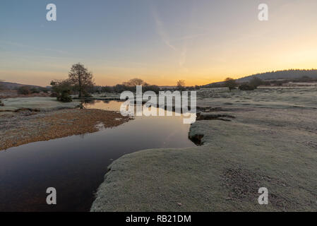 Stream läuft durch Ein frostiger Morgen Landschaft im Winter bei Ogdens in der Nähe von Frogham im New Forest, Hampshire, Großbritannien Stockfoto