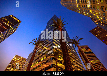 Ansicht von unten auf das kommerzielle und Business Office Wolkenkratzer mit Palmen Baum in den Himmel in Los Angeles. Urban cityscape, Nacht. California, United States. Stockfoto