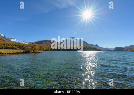 See Silsersee mit Sonne im Herbst, Sils im Engadin, Engadin, Graubünden, Schweiz, Alpen Stockfoto