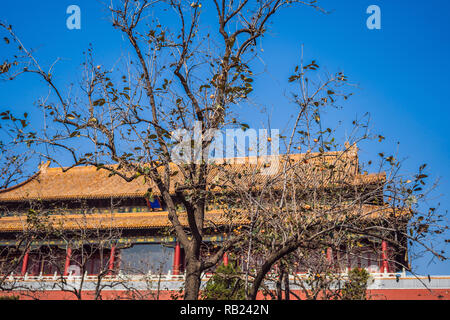 Alte königliche Paläste der Verbotenen Stadt in Peking, China Stockfoto