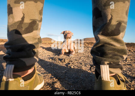 Alternative Ansicht von Beine des Menschen mit seiner schönen amstal junger Welpe Hund wird, legen fest, Warten auf seine Worte oder Liebe - Freundschaft und Lehre pet. Stockfoto