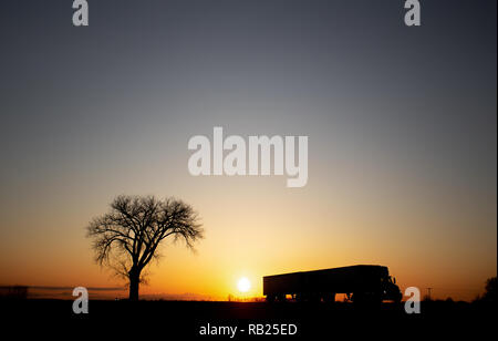 Ein Semi Truck und Trailer eine Autobahn entlang gegen ein Sonnenuntergang und ein Baum in einem Abend Sommer Landschaft silhouette Reisen Stockfoto