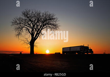 Semi trucks Schleppen liefert entlang einer highwaywith ein Baum gegen einen schönen Sonnenuntergang in einer ländlichen Landschaft Silhouette Stockfoto