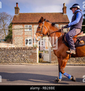 Thema Rosie Howard an ihrem West Sussex Home in der Nähe von Chichester. UK. Stockfoto