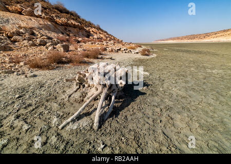 Urmia See, der Küste von Espir Island, die drittgrößte Insel der Urmia See mit einer Fläche von 1500 Hektar Stockfoto