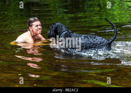 Ein verspielter Moment, in dem eine Frau mit ihrem Riesenschnauzer lacht und schwimmt und ein erfrischendes Plätschern in einem Fluss genießt Stockfoto