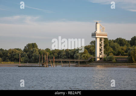 Camel Caravan warten auf Arbeit Stockfoto