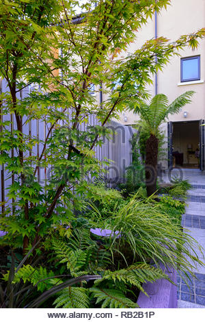 Schattigen Garten mit funkien und Farne. Design Marianne und Detlef
