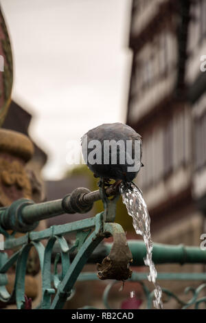 Trinken Taube sitzt auf einem Brunnen mit alten Häusern im Hintergrund Stockfoto