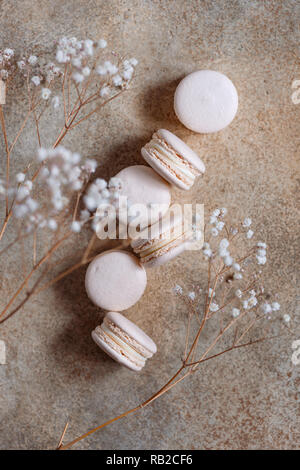 Draufsicht auf beige Mandel französische Makronen auf einem strukturierten Hintergrund mit getrockneten Blumen. Srping oder Herbst flach Komposition. Stockfoto