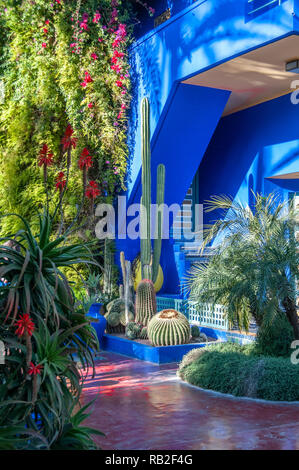 Majorelle Garten von Jacques Majorelle entworfen und von Yves Saint Laurent in Marrakesch, Marokko wiederhergestellt Stockfoto