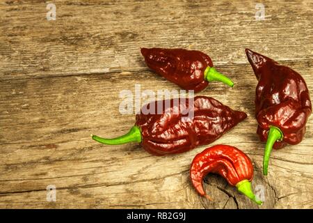 Chili auf hölzernen Hintergrund. Extra Hot Pepper Chili Naga Bhut Jolokia Chocolate. roh essen. Verkauf Chili. Stockfoto