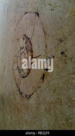 Ammonit fossil in die Wand von einem modernen Gebäude Stockfoto
