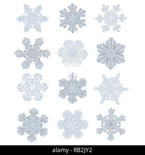 Sammlung von sehr detaillierten isoliert Schneeflocken. Natur gleichermaßen Designs in Blau und Grau Stock Vektor