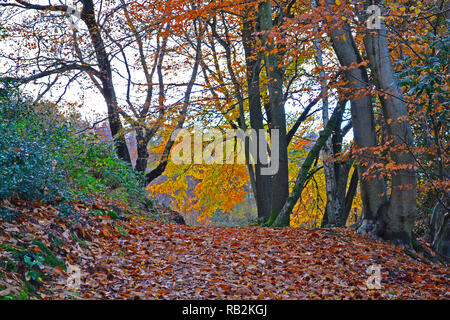 Die Seemänner Hill Schleife Pfad, durch Chartwell, Kent, Engand. Auf der Greensand Weg des North Downs und blickt auf Winston Churchill's House. Herbst Stockfoto