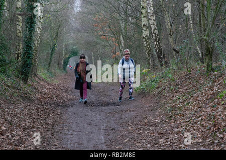 06. Januar 2019 - Der erste Sonntag im 2019 war mild und trocken - perfekt für Familien morgens einen Spaziergang an einem Feldweg Stockfoto