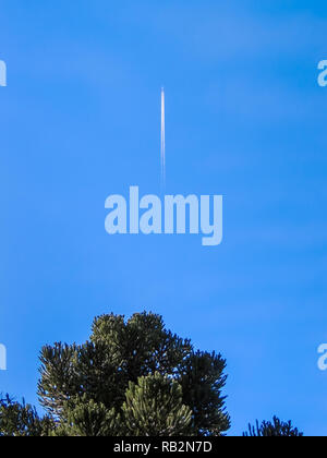 Die grüne überdachung eines Baums im Vordergrund mit einem leichten und blauer Himmel von einem Flugzeug auf einem schnellen Aufstieg im Hintergrund ausschneiden Stockfoto