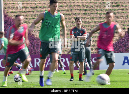 Doha, Katar. 06 Jan, 2019. Fussball: Bundesliga. Trainer Niko Kovac (2. von rechts) des Fußball-Erstligisten FC Bayern München gibt Anweisungen an seine Spieler während einer Trainingseinheit am Morgen. Vor ihm laufen (L-R) Franck Ribery, Robert Lewandowski und Rafinha. Der FC Bayern wird in die Wüste Stadt bleiben, bis 10.01.2019 für ihr Trainingslager. Credit: Peter Kneffel/dpa/Alamy leben Nachrichten Stockfoto