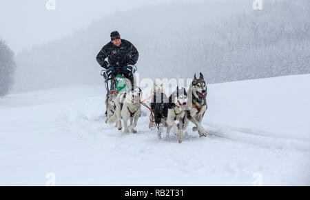 Lichtenstein Holzelfingen, Deutschland. 06 Jan, 2019. Musher Michael Ruopp Antriebe mit Schlittenhunden gezogen Pferdeschlittenfahrten durch die verschneite Landschaft auf der Schwäbischen Alb. Foto: Thomas Warnack/dpa/Alamy leben Nachrichten Stockfoto