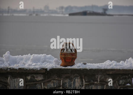 Srinagar, Indien. Januar 5, 2019 - Schwere Schnee fällt in Srinagar, die Hauptstadt des Indischen verwalteten Kaschmir, am 4. Januar 2019. Starker Schneefall am Nachmittag in Srinagar gestartet und innerhalb einer halben Stunde die Stadt von einer weißen Schneedecke das tägliche Leben und was es schwierig macht, um in verschiedenen Teilen der Stadt zu bewegen. Credit: ZUMA Press, Inc./Alamy leben Nachrichten Stockfoto