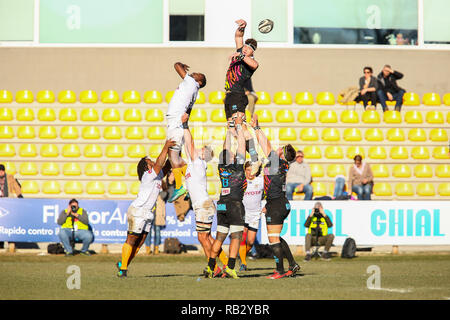 Parma, Italien. 6. Januar, 2019. Die flanker Zebre Giovanni Licata nimmt den Ball in der Note im Spiel gegen den Geparden in GuinnessPro 14 © Massimiliano Carnabuci/Alamy leben Nachrichten Stockfoto